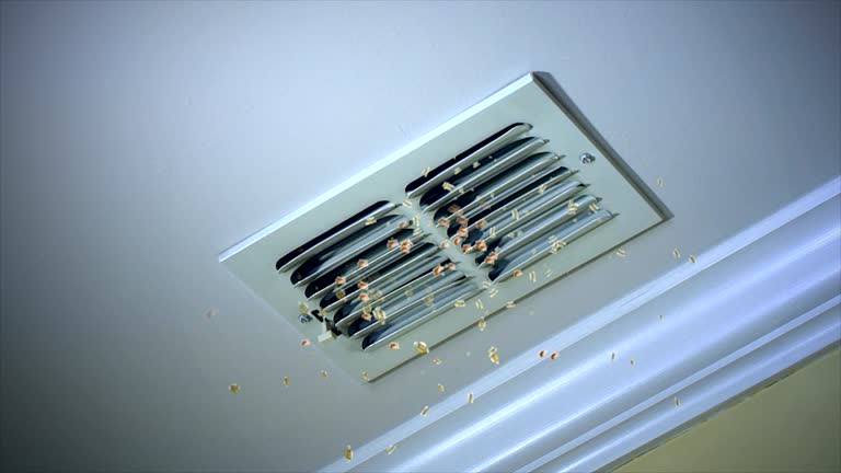 Best Ductwork Cleaning Services  in Mount Juliet, TN