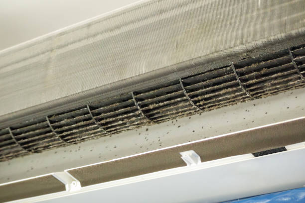 Best Air Duct Cleaning Near Me in TN